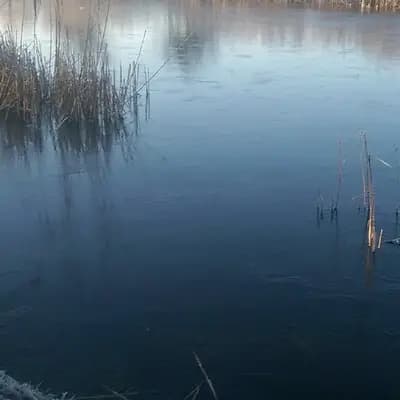 Chilly