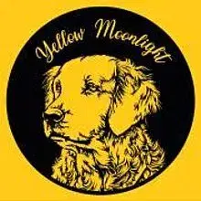 Yellow Moonlight cover