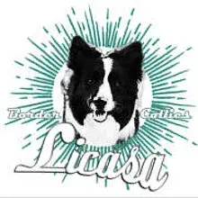 Licasa cover