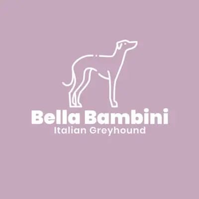 Titelbild von Bella Bambini  in Bremen, Heimat unserer Italienisches Windspiel-Zucht.