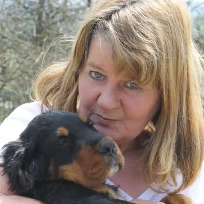 Galerie-Bild von Black Devil´s in Bayern, mit Eindrücken unserer Gordon Setter-Zucht.