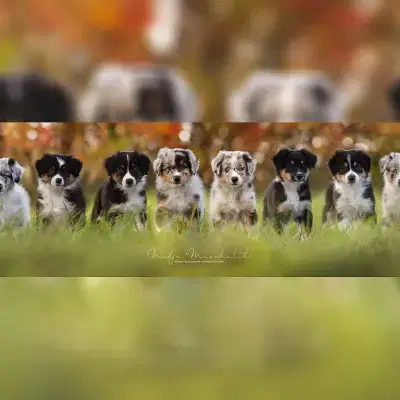 Amazing Moments cover