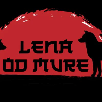Rex – Shiba Inu Welpe, Gespanschaft Međimurje, Raised by LENA OD MURE