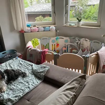 Bild aus lovly little dog in Hessen, wo unsere Havaneser-Hunde in einer liebevollen Umgebung aufwachsen.