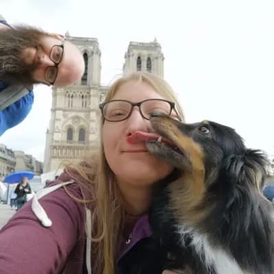 Shelties vom Nordlicht