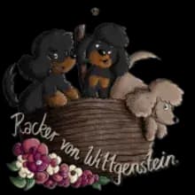 Racker von Wittgenstein cover