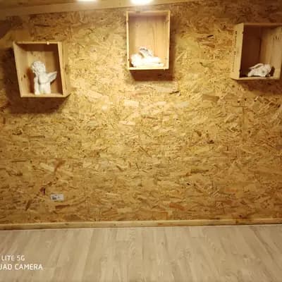 Bild aus Angelic Power Bulldogs und vom Yangbajain-Tal in Mecklenburg-Vorpommern, wo unsere Old English Bulldog-Hunde in einer liebevollen Umgebung aufwachsen.