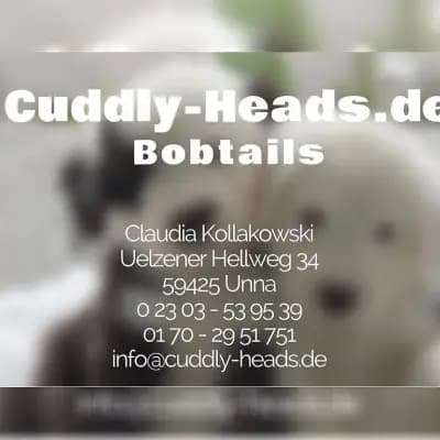 Cuddly Heads cover
