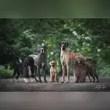 Another Jackpot cover