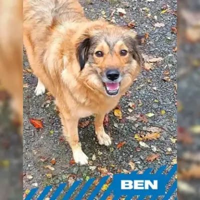 Ben