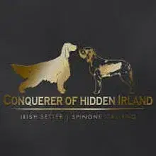 Conquerer of hidden Irland cover