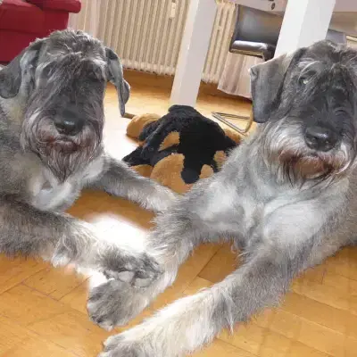 von den Höhenäckern cover