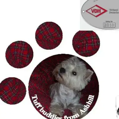 Tuff buddies from Ashhill cover