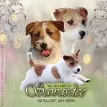 Sawasdee cover