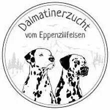 vom Eppenzillfelsen cover