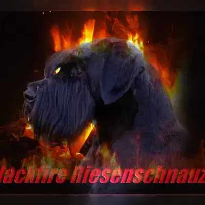 Dafuria’s Imperium cover