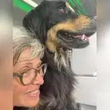 vom Trommblick cover