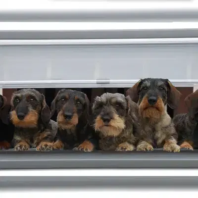 vom Sümmerufer cover