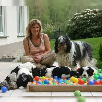 von Bohlmann’s Land cover