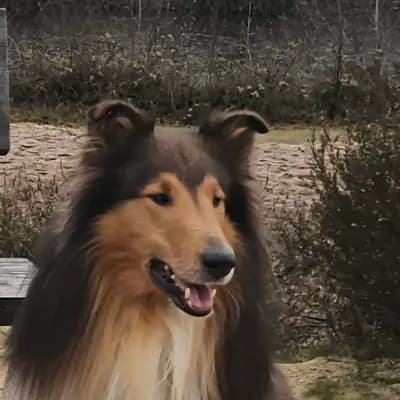 Ean image