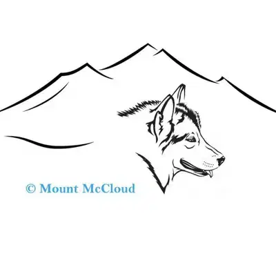 Huk’ghi’un Hvaya - Alaskan Malamute Welpe in Niedersachsen