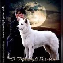 of Moonlight Paradise cover