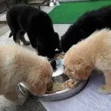 von Wackerbarth cover