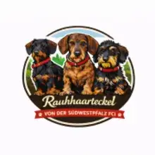 von der Südwestpfalz cover