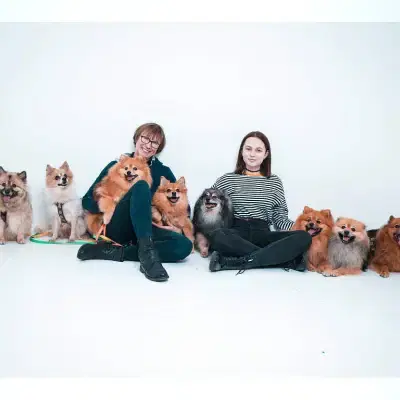 von den Drei Hohen Birken cover