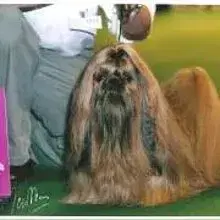 von byrn's tao cover