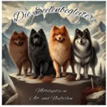 Seelenbegleiter cover