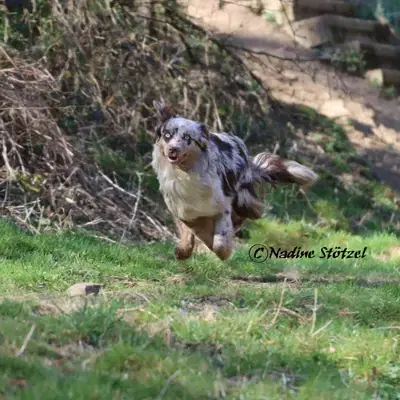 Zoe image