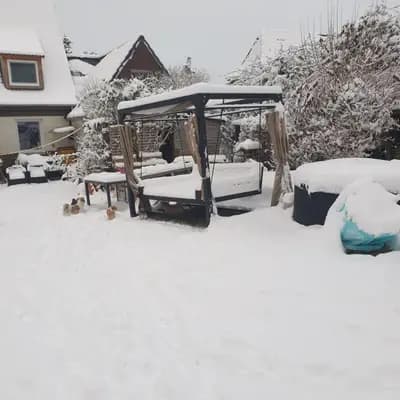 Bild aus Silke's Lebensträumchen in Schleswig-Holstein, wo unsere Pudel (Toy)-Hunde in einer liebevollen Umgebung aufwachsen.