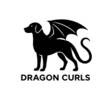 Dragon Curls cover