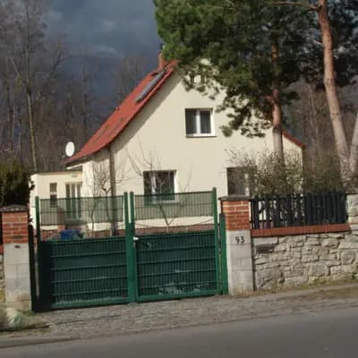 Bild aus Hundezucht von den Kalkseehexen in Brandenburg, wo unsere Schnauzer-Hunde in einer liebevollen Umgebung aufwachsen.