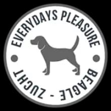 Everydays Pleasure cover