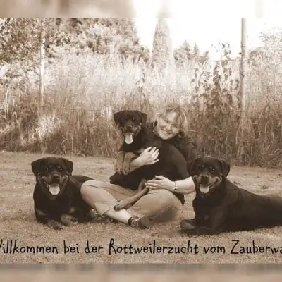 vom Zauberwald cover