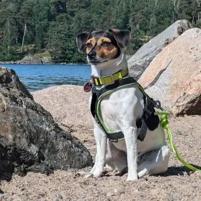 von Sabinchen Kunterbunt cover