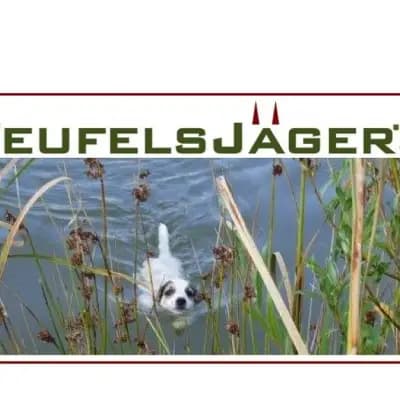 Teufelsjäger’s cover