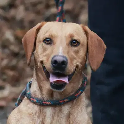 Murphy