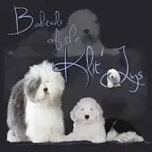of the Klit-Ly’s cover