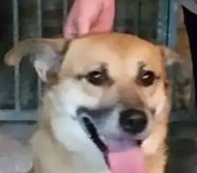 Spike