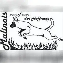 vom Feuer der Hoffnung cover
