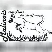 vom Feuer der Hoffnung cover