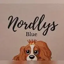 Nordlys Blue cover
