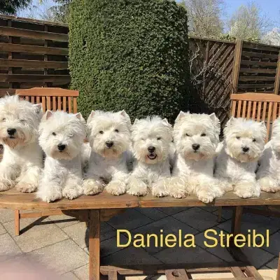 Sovereign Santos cover