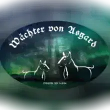 Wächter von Asgard cover