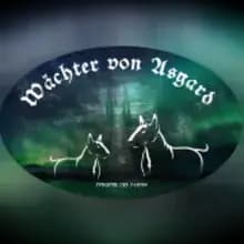 Wächter von Asgard cover