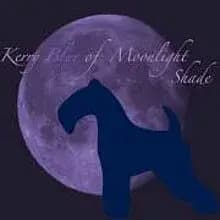 of Moonlight Shade cover