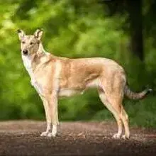 Soul of Million Years cover